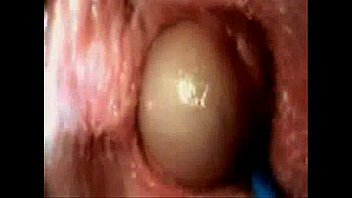 Internal Vagina Sex Internal Vagina Sex