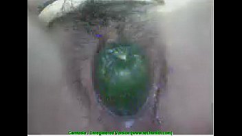 Gaivutruong84 012808