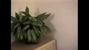 LBO – Mr Peepers Nastiest Vol7 – Scene 2 LBO – Mr Peepers Nastiest Vol7 – Scene 2