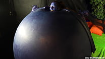 British Blueberry Inflation British Blueberry Inflation