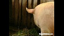 Brunette Lady Farmer Hairy Pussy Barn Fucked Brunette Lady Farmer Hairy Pussy Barn Fucked