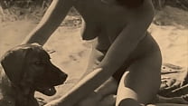 Dark Lantern Entertainment Presents Wild Women Dark Lantern Entertainment Presents Wild Women